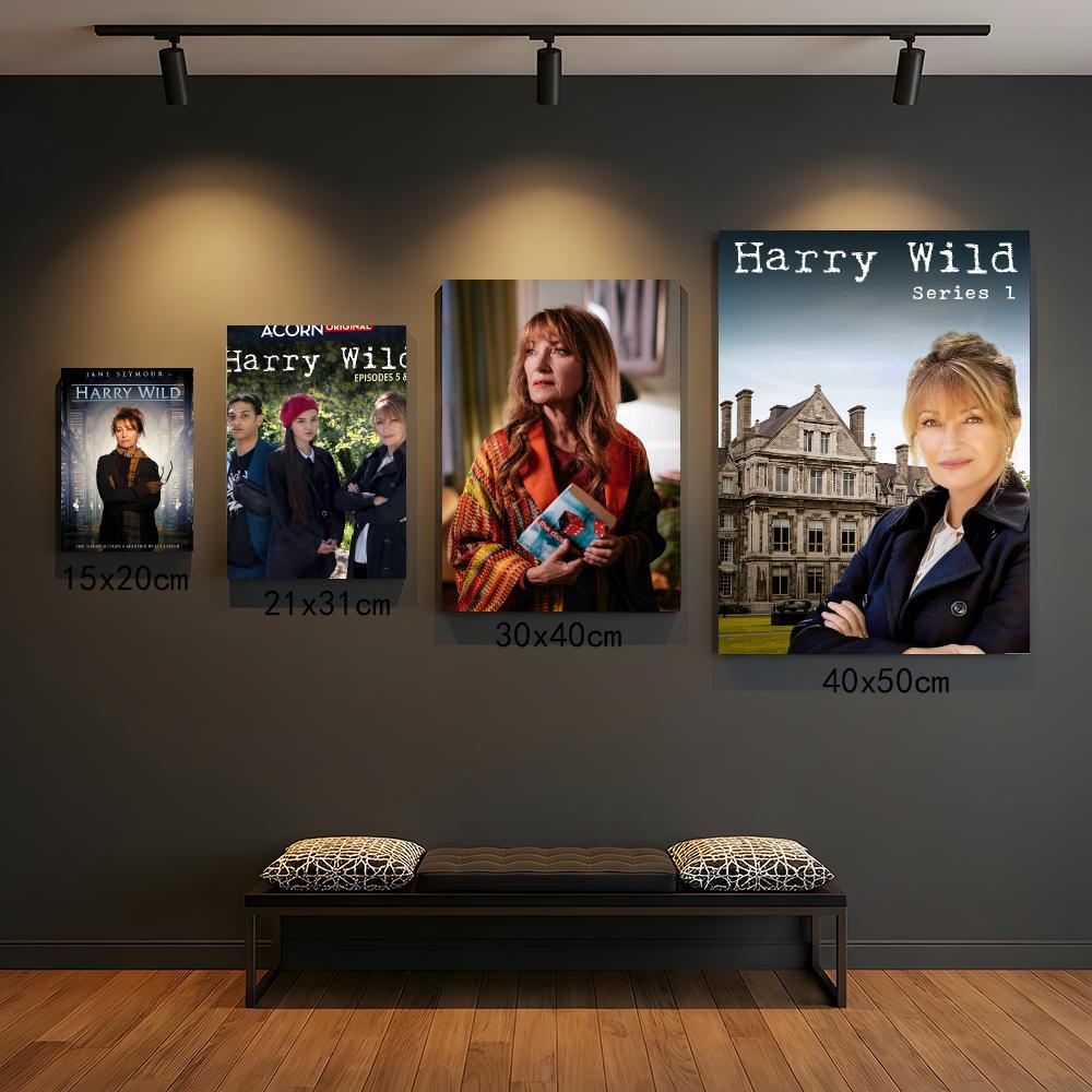 Interior Design Tv Room - سلسلة تلفزيونية H-Harry Wild-D: لوحة فنية