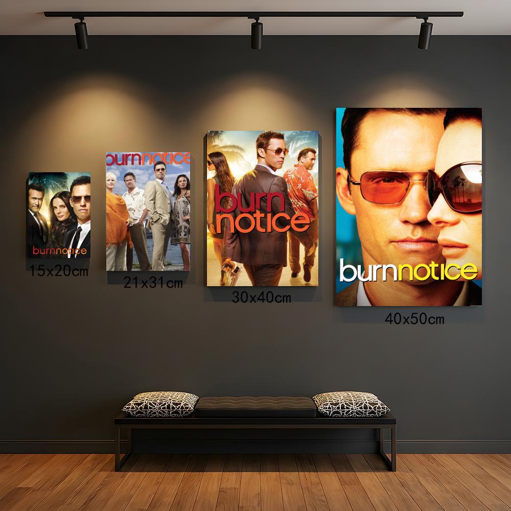 Interior Design Tv Room - سلسلة مسلسلات تلفزيونية B-Burn Notice-E، لوحة