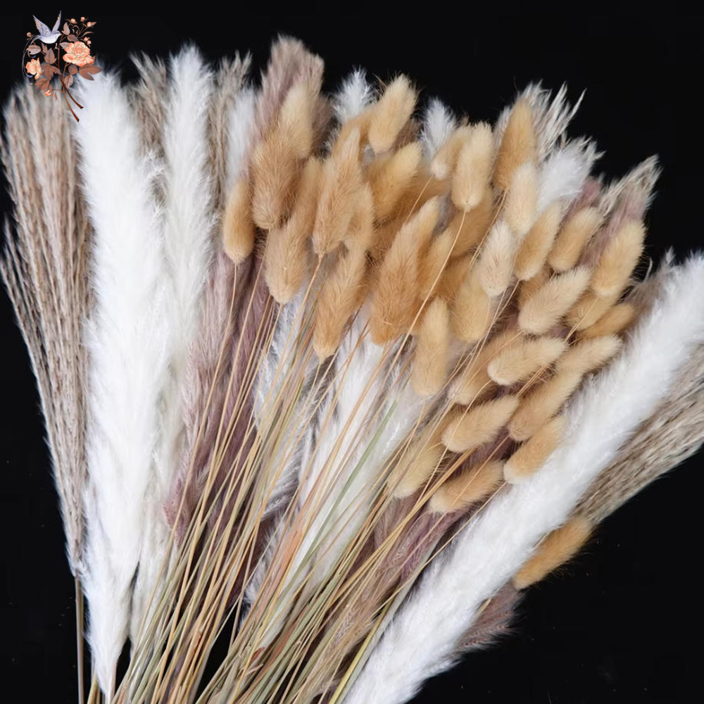 Dried Pampas Bundle - باقة زهور طبيعية مجففة مختلطة، عشب