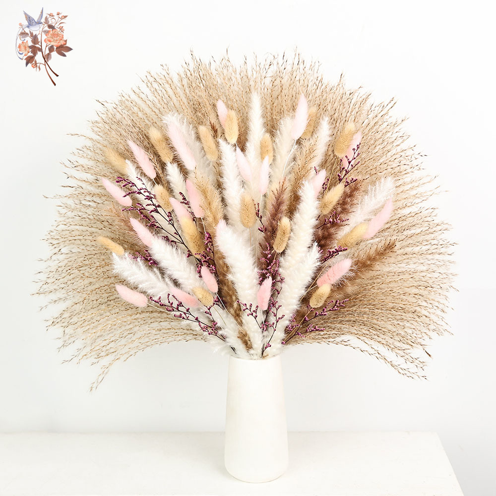 رقيق Pampas أرنب ذيول العشب ال - مراجعة Dried Pampas Bundle وسعره