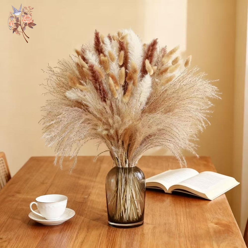 باقة زهور طبيعية مجففة مختلطة، - مراجعة Dried Pampas Bundle وسعره