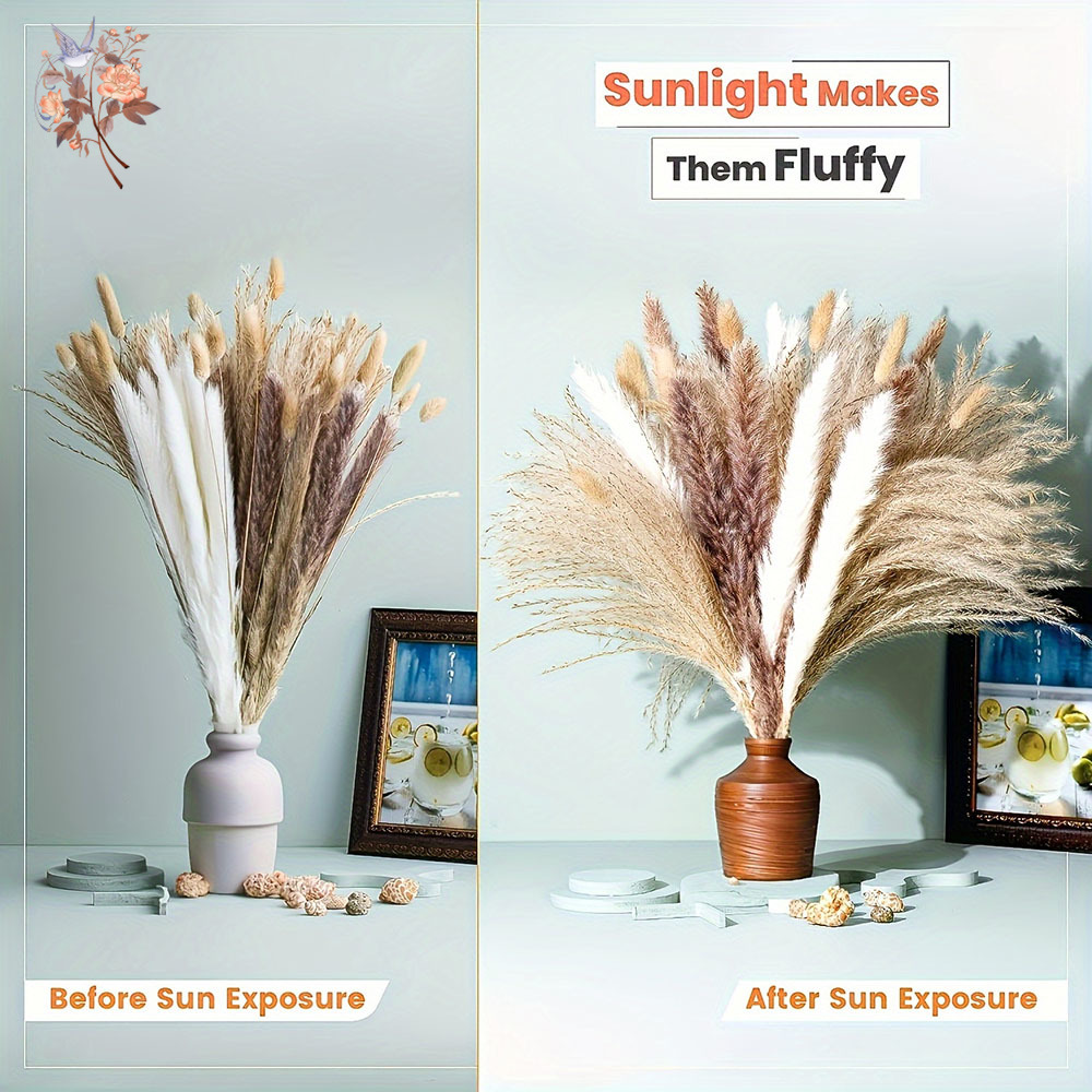 باقة زهور طبيعية مجففة مختلطة، - مراجعة Dried Pampas Bundle وسعره