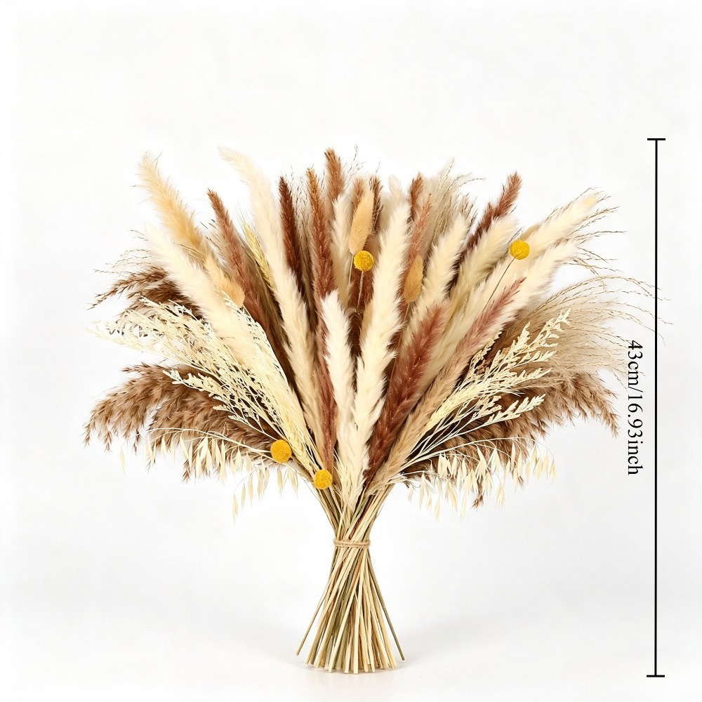 باقة زهور مجففة طبيعية مختلطة، - مراجعة Dried Pampas Bundle وسعره