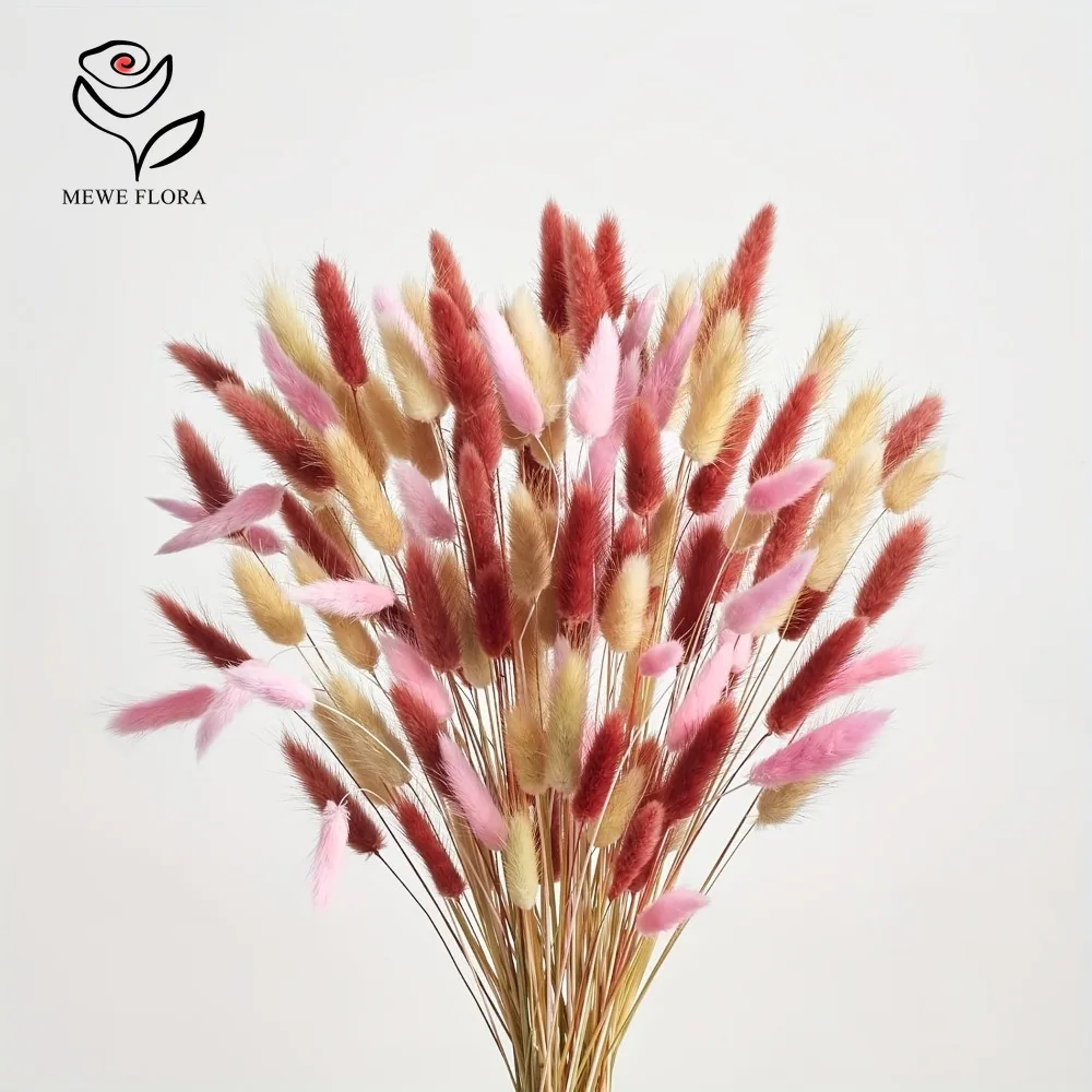 90 قطعة مختلطة 3 ألوان الأرنب  - مراجعة Dried Pampas Bundle وسعره