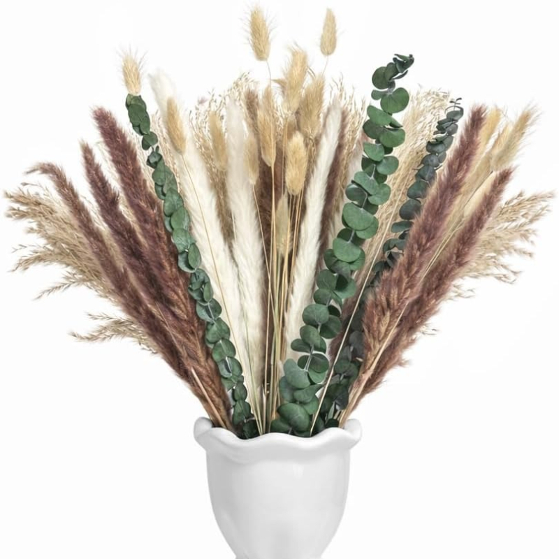 65 قطعة من الزهور الطبيعية الم - مراجعة Dried Pampas Bundle وسعره