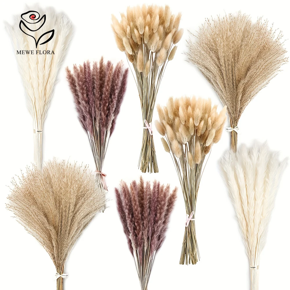 200 قطعة بامباس المجففة ذيول ا - مراجعة Dried Pampas Bundle وسعره